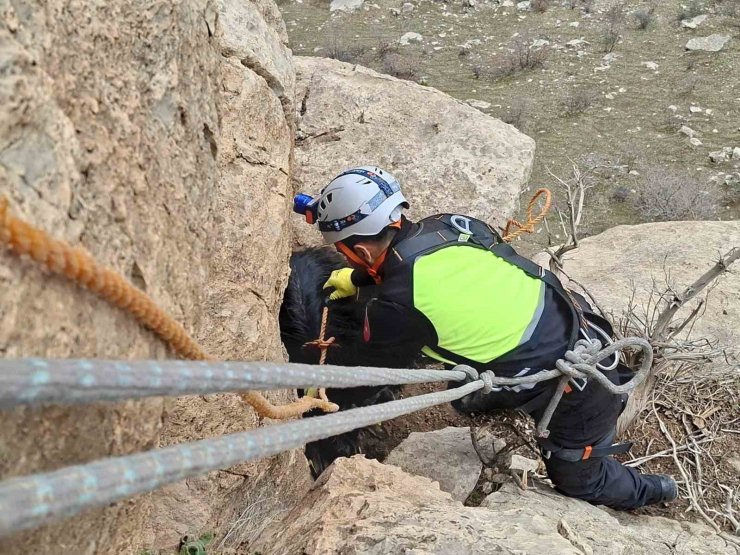 Siirt’te üç gündür mahsur kalan keçi dağcılar tarafından kurtarıldı