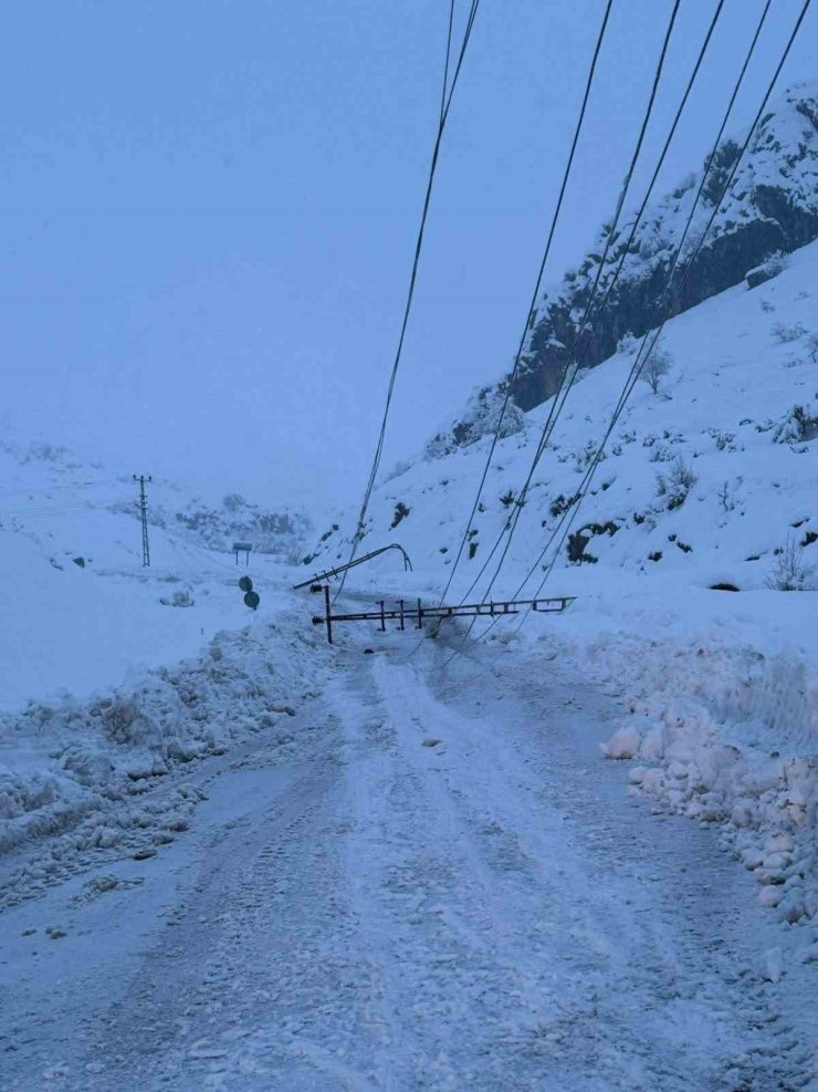 Kar yağışı nedeniyle devrilen 300 elektrik direği yenilendi