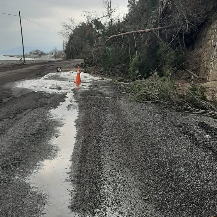 Kastamonu’da heyelanda istinat duvarını aşan ağaçlar yola kadar geldi