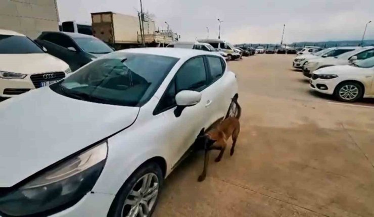 Yalova’da uyuşturucu operasyonu: 2 tutuklama