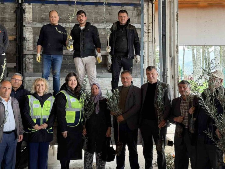 Beyağaç’ta kırsal kalkınmayı destek amacıyla zeytin fidanı dağıtımı gerçekleşti