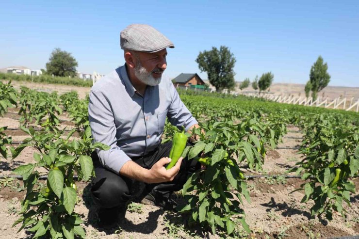 Başkan Çolakbayrakdar: "Toprağımıza bereket, çiftçimize yeni kazanç kapısı açıyoruz"