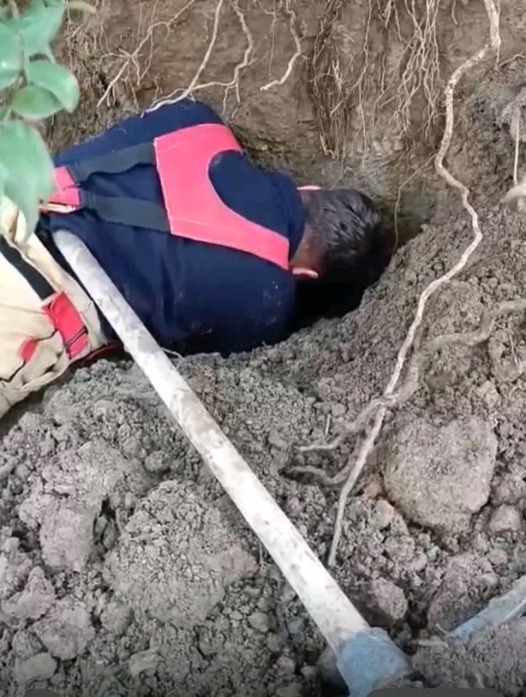 Hatay’da toprağın kaymasıyla göçük altında kalan yavru köpekler kurtarıldı