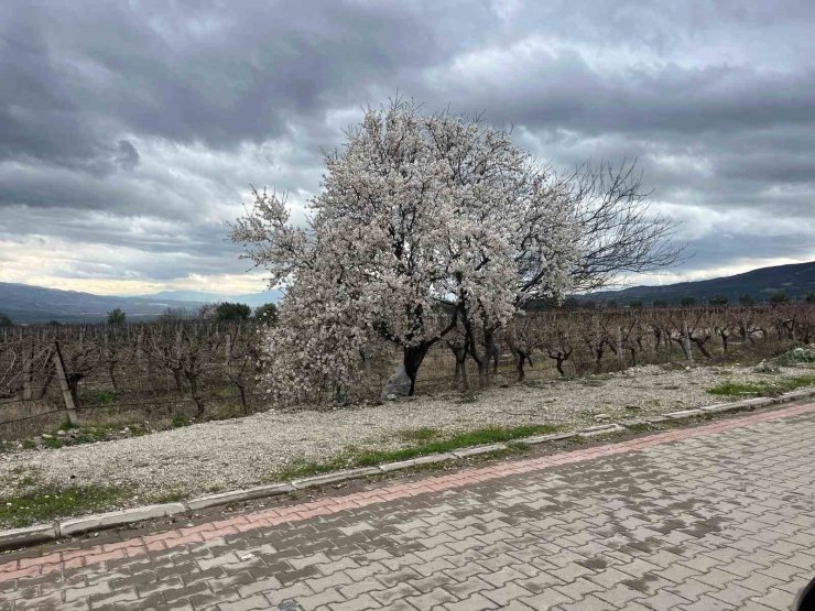 Bahar renkleriyle geliyor