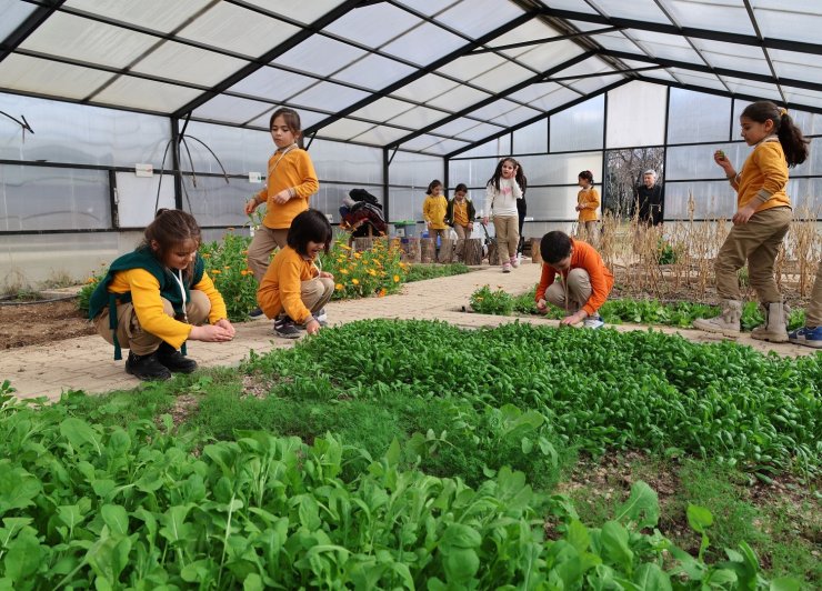 Karatay Tabiat Mektebi’nde eğitimler dolu dolu sürüyor