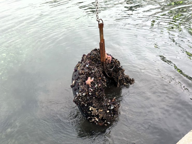 Kocaeli’de deniz dibinden 50 lastik çıktı