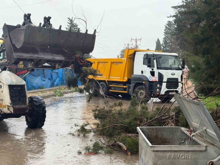 Akdeniz’de fırtına sonrası belediye ekipleri teyakkuzda