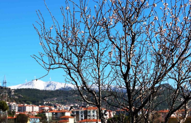 Muğla’da kış ve bahar aynı karede