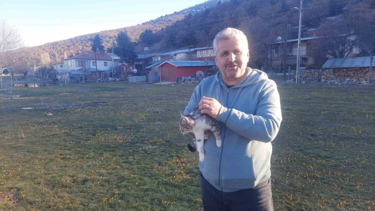Konya’da aç kalan kediler için 30 kilometre yol gitti