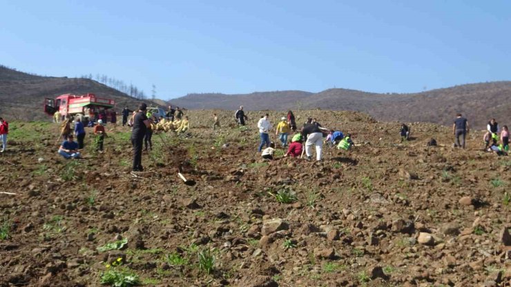 Hatay’da orman yangınından zarar gören alanlarda 5 bin fidan toprakla buluşturuldu