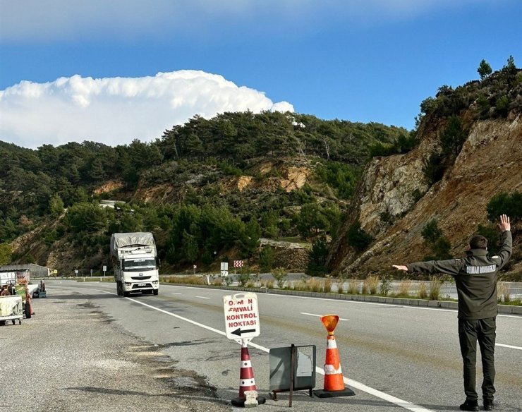 Mersin’de orman suçlarına eş zamanlı denetim