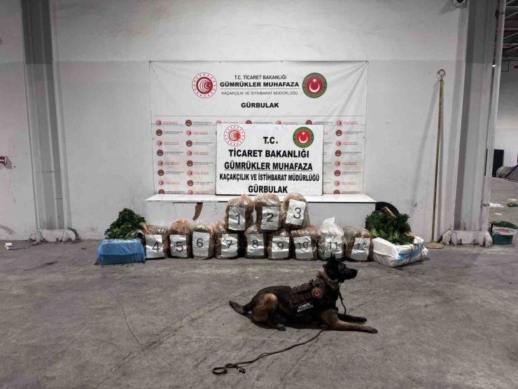 Ağrı’da Gürbulak Sınır Kapısı’nda 51 kilo 520 gram esrar ele geçirildi