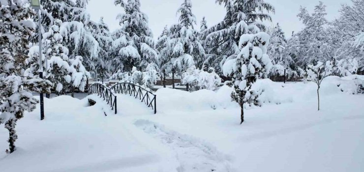 Hacılar Belediyesi ekipleri karla mücadele için sahada