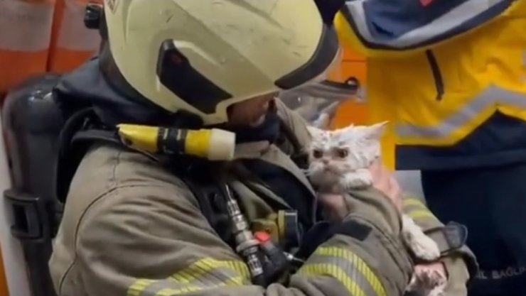 Fatih’te metruk binada çıkan yangın yanındaki ahşap binaya sıçradı: Bir kedi kurtarıldı