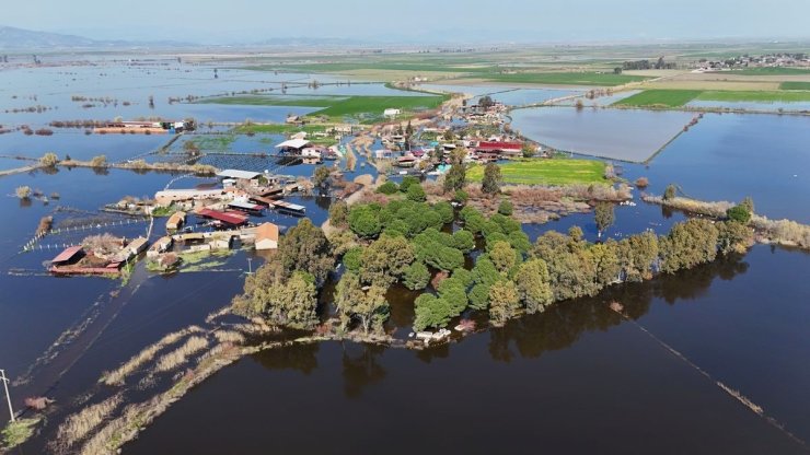 Kalcık Mahallesi, Venedik’e döndü