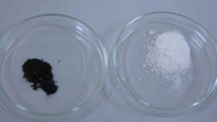 Isparta’da endemik bitkiden doğaya zarar vermeden kanserle mücadeleye umut olacak üretim modeli geliştiriliyor