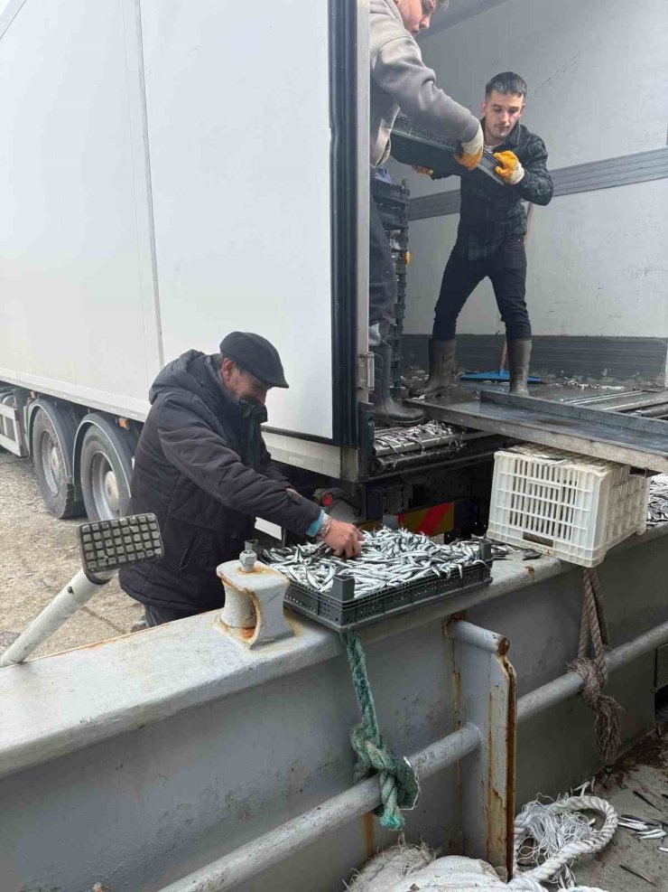 Balıkçı Ramazan’da ücretsiz hamsi dağıttı