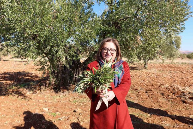 Gaziantep Büyükşehir’den Nizip’e örnek tarımsal destekler