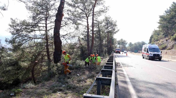Muğla’da yangın sezonu öncesi Sakar Geçidi’nde riskli dallar temizleniyor
