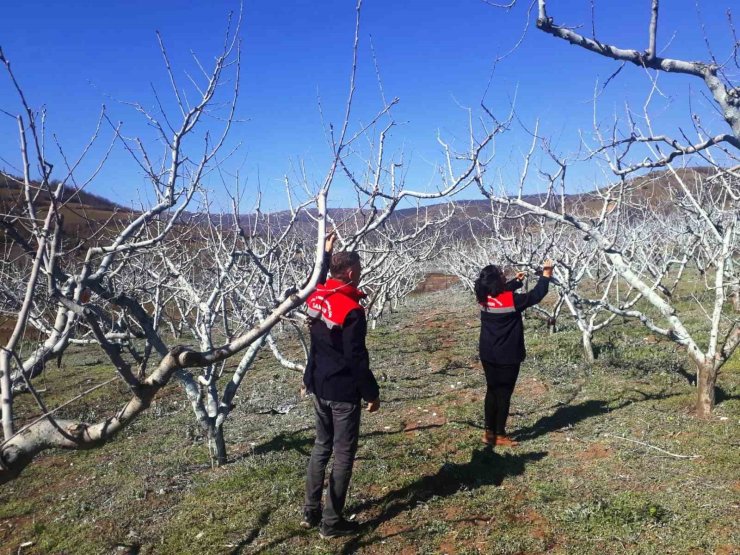Çiftçilere bordo bulamacı uyarısı
