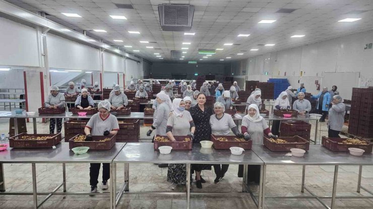 Kaymakam Kan: "Kadınlar yine kadınların hayatını kolaylaştırıyor"