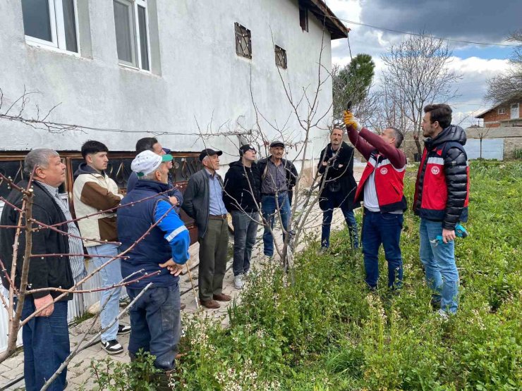 Tavşanlı’da meyve üreticilerine budama eğitimi