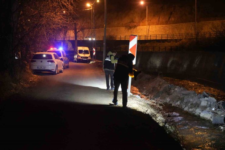 Alzheimer hastası yaşlı adam Harşit Çayı’nda ölü bulundu