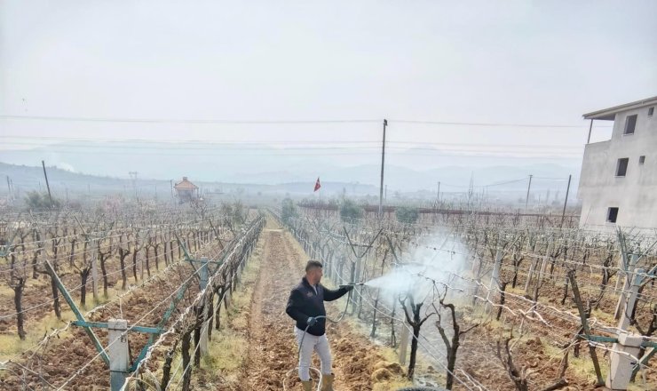 Sarıgöl’de ölü kol hastalığıyla mücadele başladı