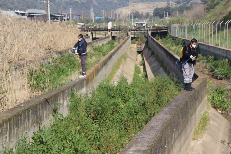 Nazilli Belediyesi sivrisinek ve haşereyle mücadeleye kesintisiz devam ediyor