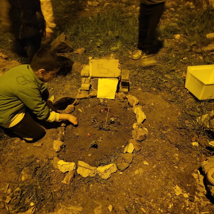 Nusaybin’de çocuklardan telef olan kediye anlamlı veda