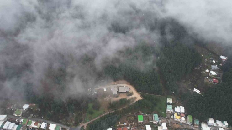 Uludağ’dan inen sis Bursa’yı sardı