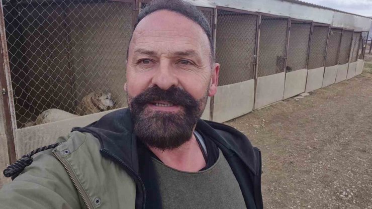 Yavru kangal gönlünü Sibirya kurduna kaptırdı