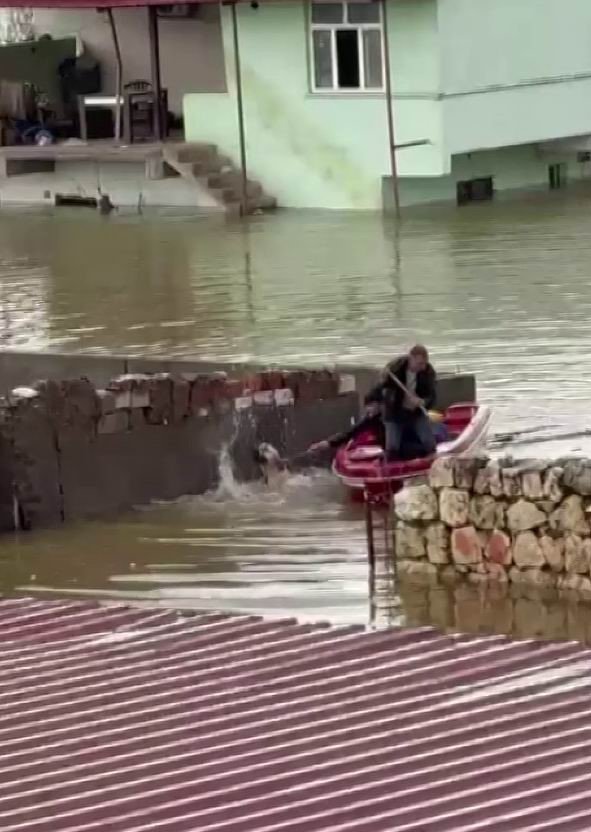 Su taşkınında evde mahsur kalan köpek, vatandaşların bindiği botla kurtarıldı