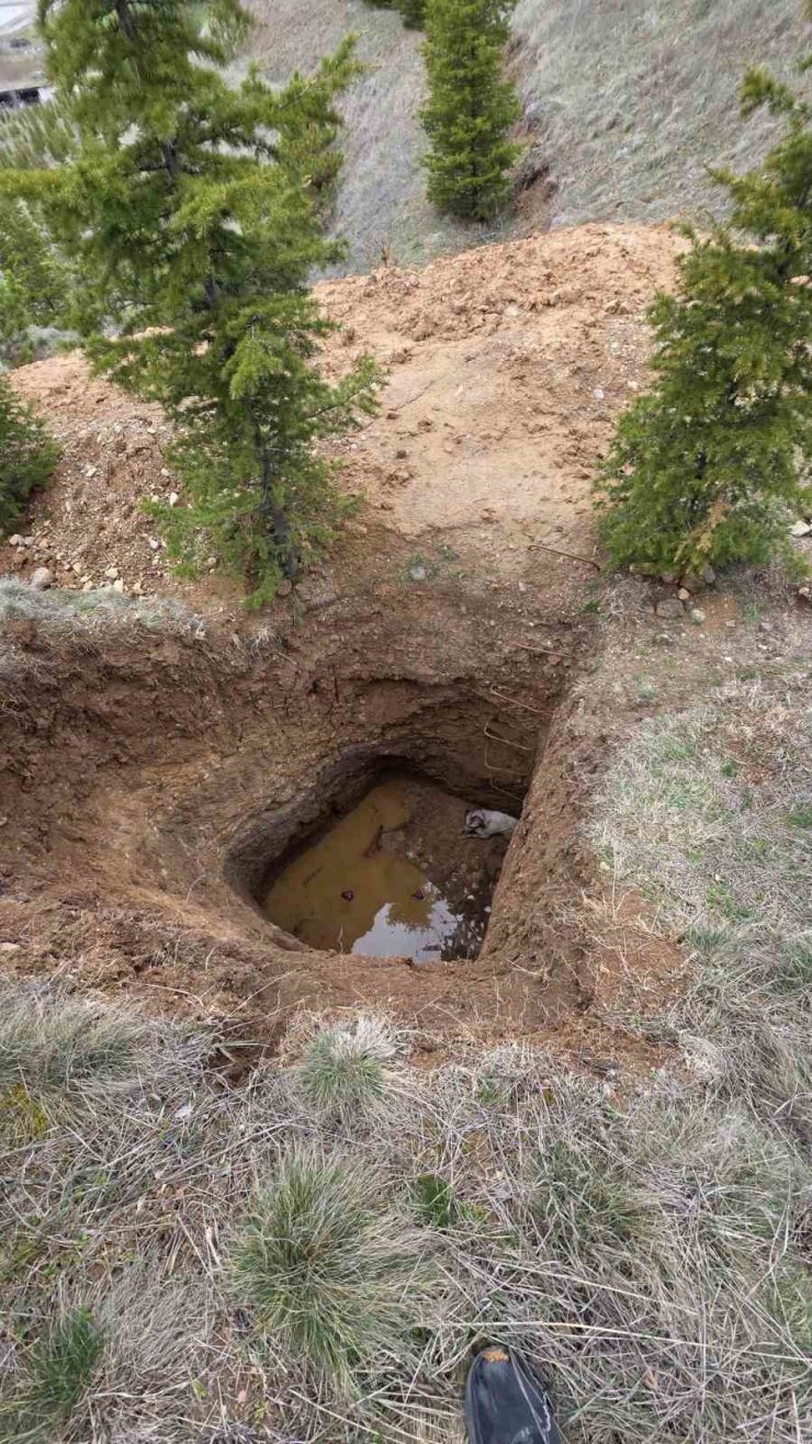 Ankara’da kaçak kazının yapıldığı çukura düşen köpek kurtarıldı