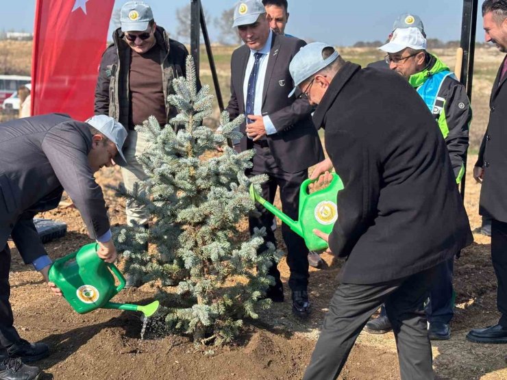 Kırklareli’nde 3 bin 750 fidan dikildi