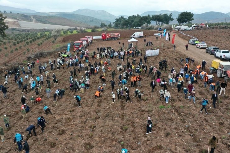 Manisa’da Orman Haftası’nda binlerce fidan toprakla buluştu