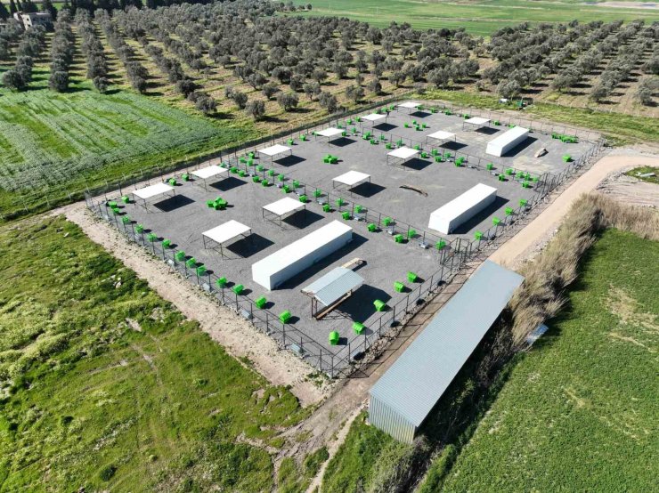 Edremit’te can dostlar için doğal yaşam alanı açılıyor