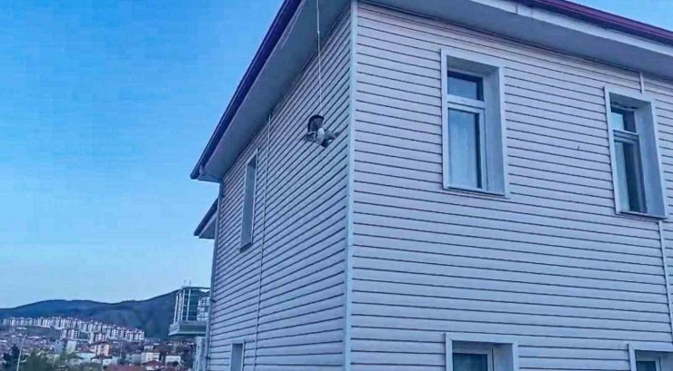 Çorum’da ipe takılan güvercini itfaiye kurtardı