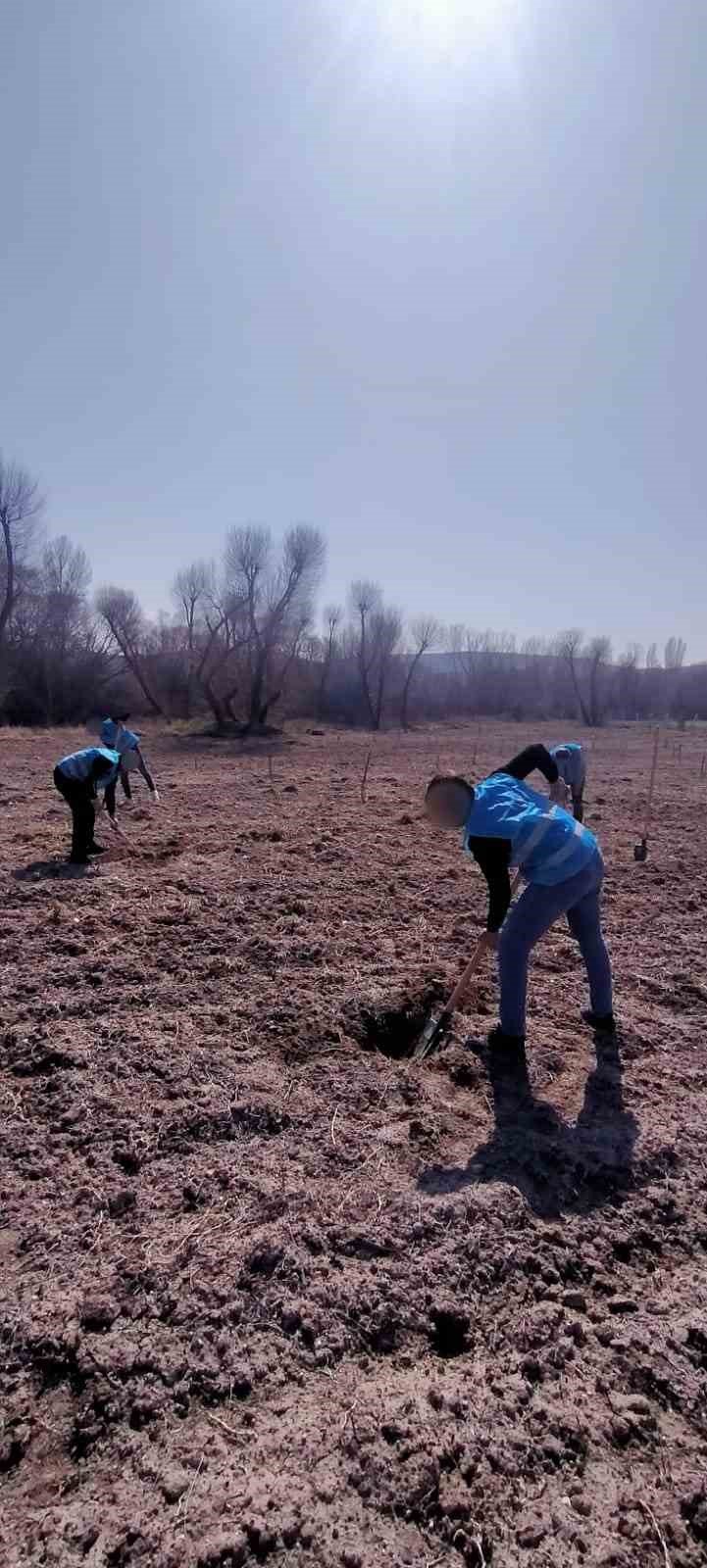 Denetimli serbestlik yükümlüleri ’Adalet Ormanı’nda meyve yetiştiriyor