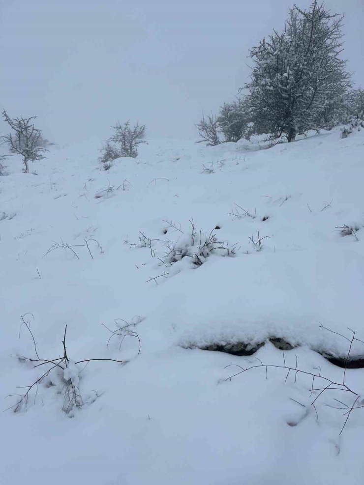 Mart sonunda Karıncalı Dağ’da kar sürprizi
