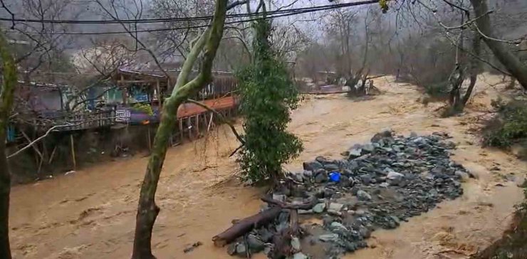 Yalova’da sağanak yağışta dereler taştı, 5 büyükbaş hayvan telef oldu