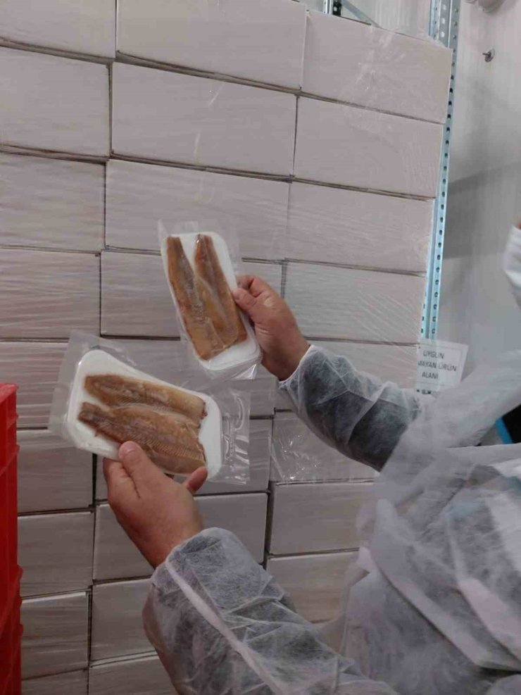 Su ürünleri üretimi yapılan tesislerde denetim