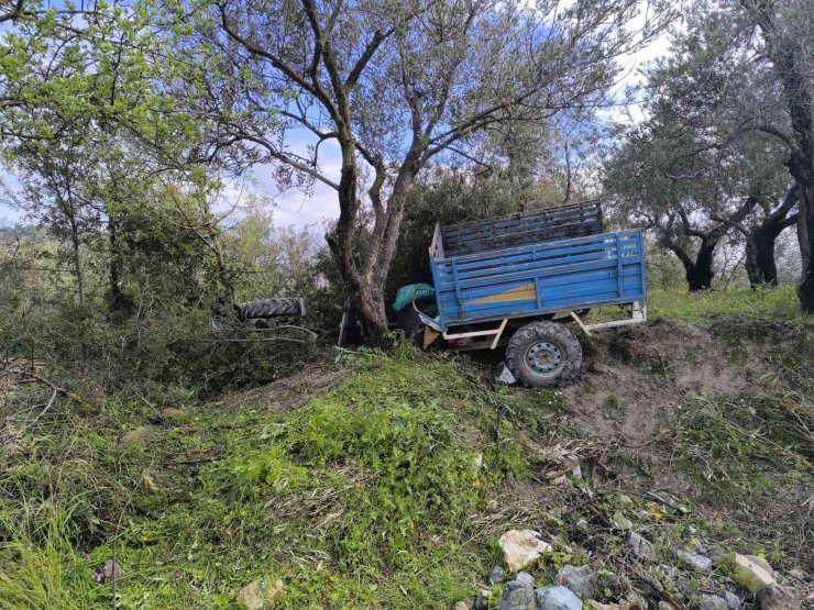 Zeytin bahçesine uçan patpatın sürücüsü öldü
