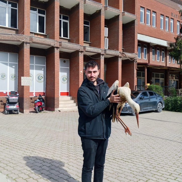 Bilecik’te yaralı leylek koruma altına alındı