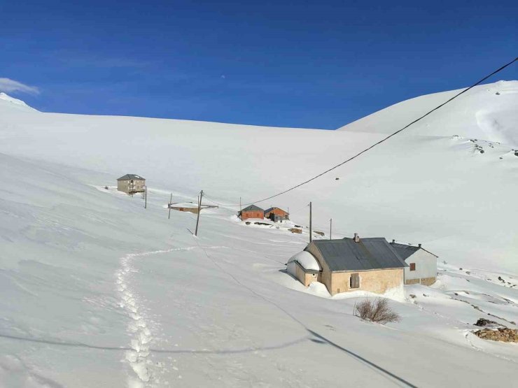Bayburt’ta ayı saldırılarının yaşandığı yaylada ulaşım sorunu sürüyor