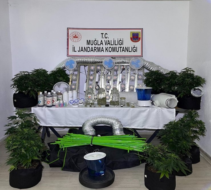 Muğla Jandarmasından zehir tacirlerine Mart ayı darbesi: 173 gözaltı