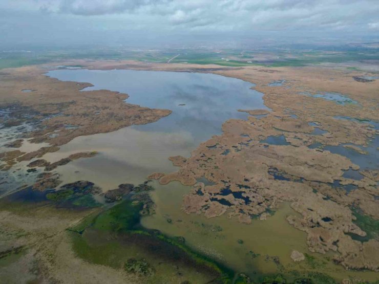 Eber Gölü’nde su seviyesi gözle görülür şekilde arttı