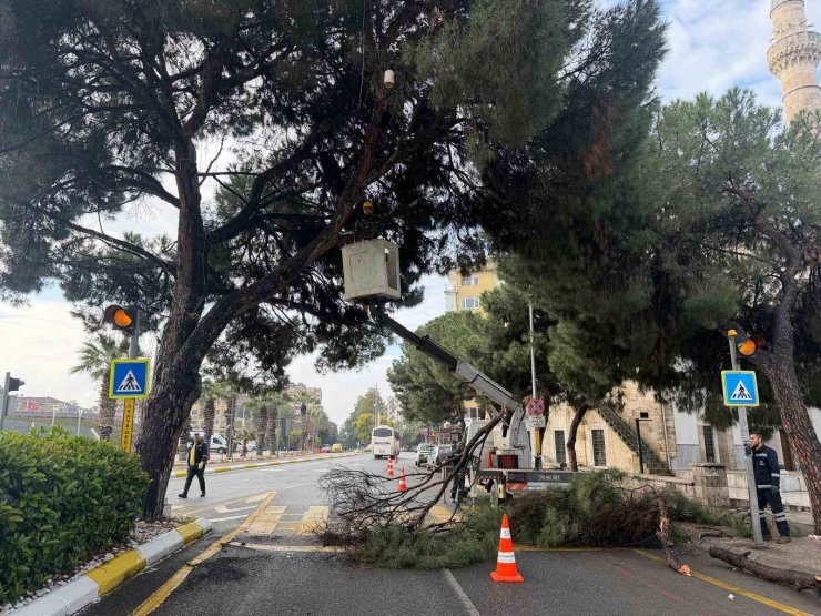 Aydın’ın en işlek noktasına estetik dokunuş