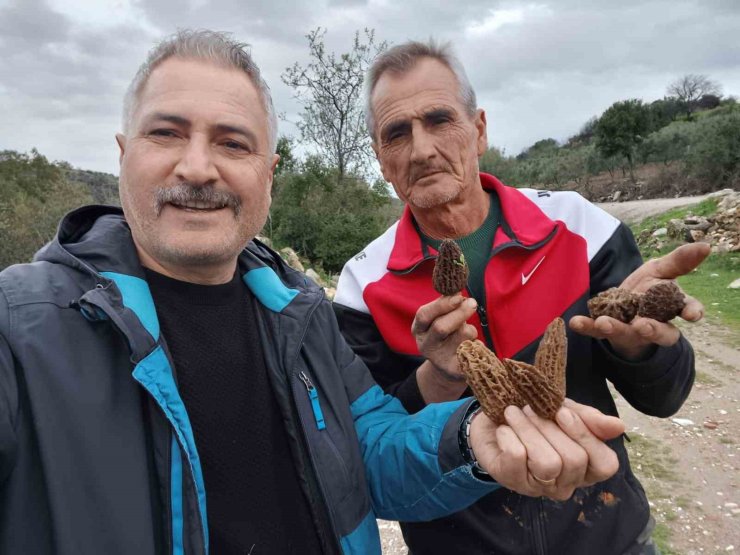 Manisa’da kuzugöbeği tutkusu engel tanımıyor