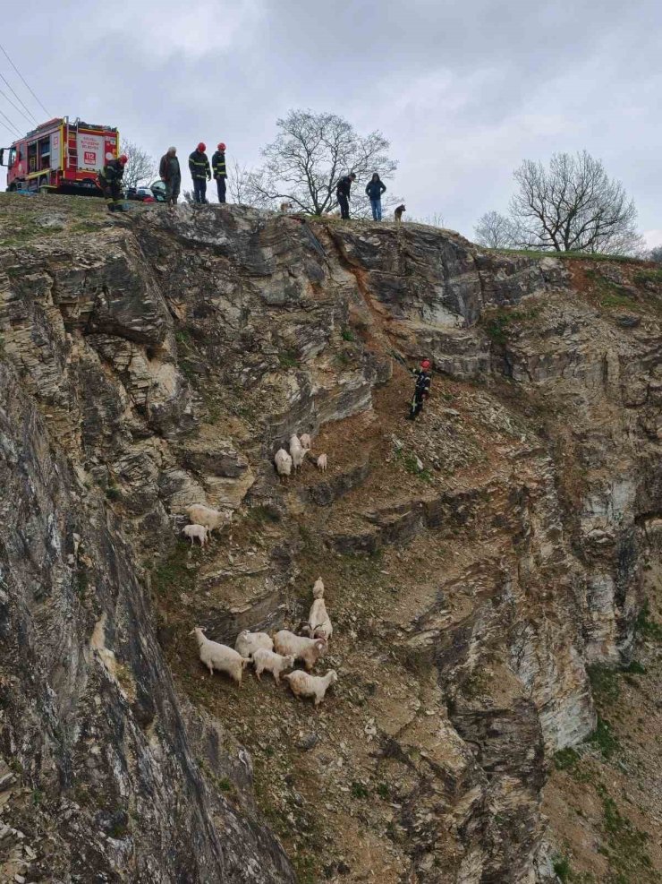 Kayalıklardaki sürüye cansiparane kurtarma
